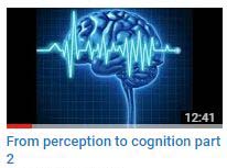 From perception to cognition part 2